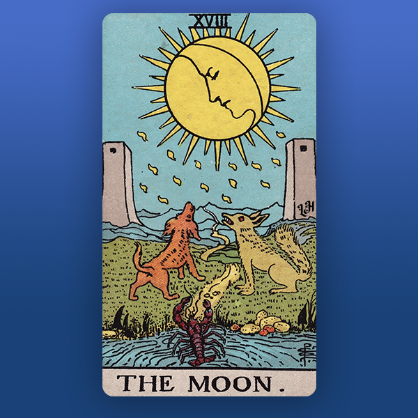 The Moon